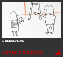 Orange Business Services